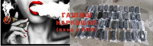 гашик Аркадак