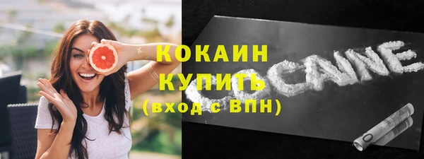 гашик Аркадак