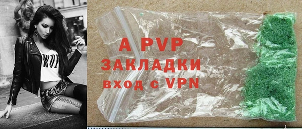 гашик Аркадак