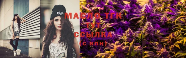 гашик Аркадак
