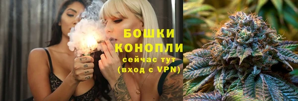 гашик Аркадак